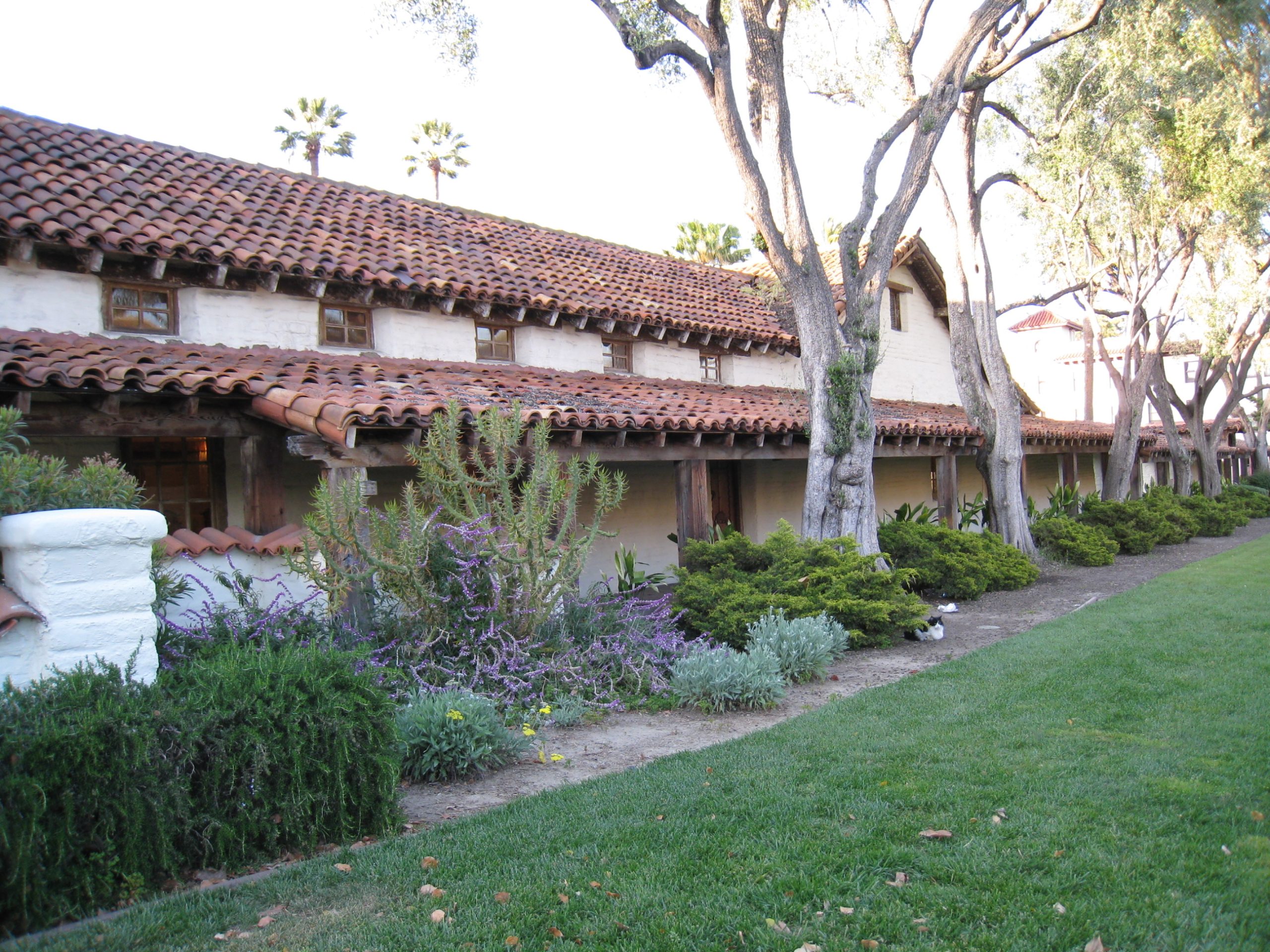 Curved clay tiles covering buildings and a garden walkway at Santa Clara University