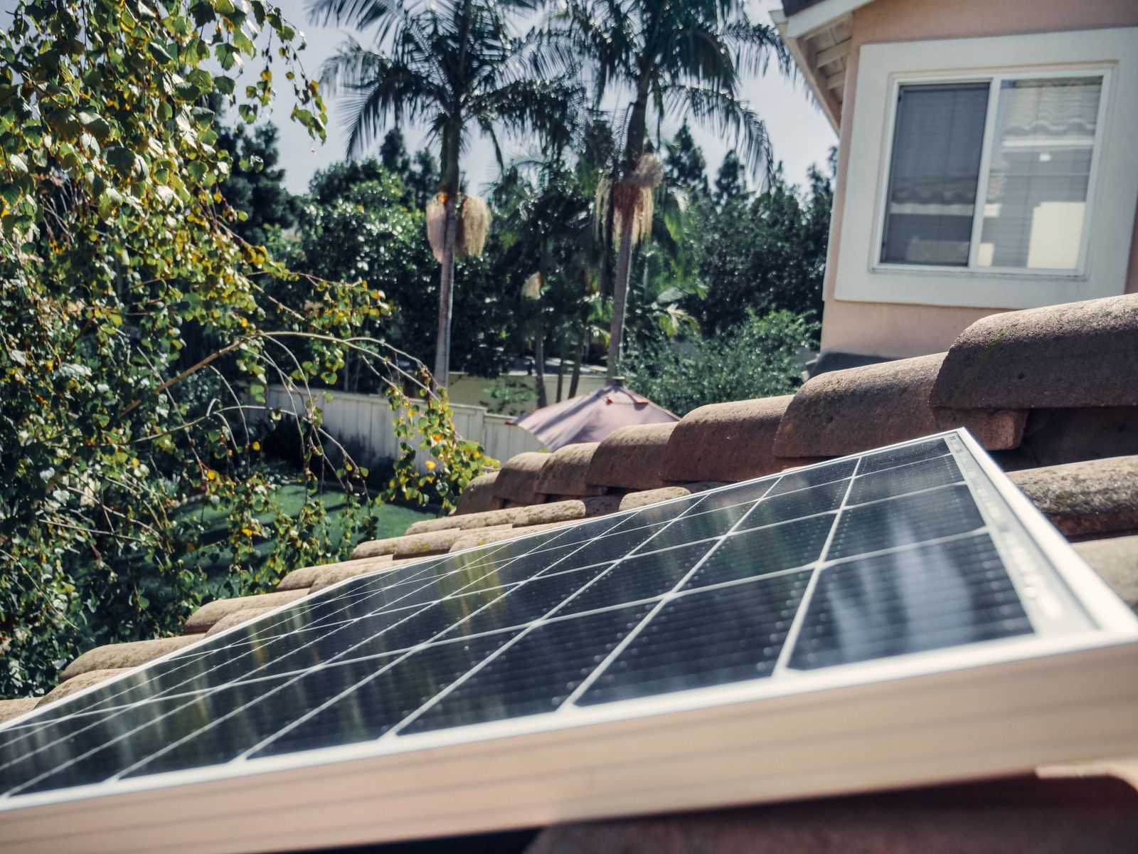 Solar panel on a tile roof with palm trees and a sunny backyard behind it